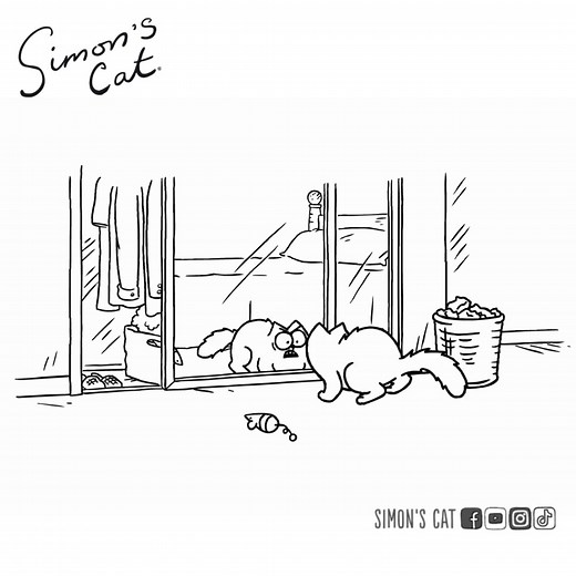 Mirror, Mirror on the Wall, Who’s the Furrest of Them All?! 😺 | Simon's Cat