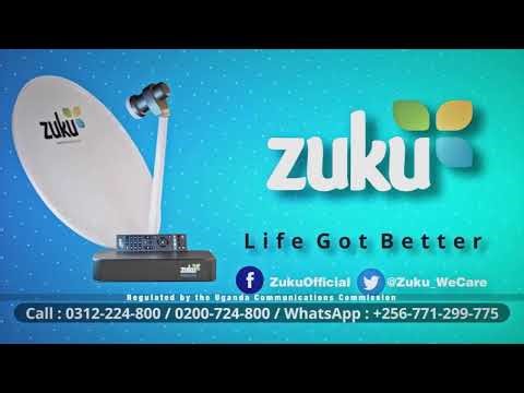 JOLLO QUALITY | 19/03/2026