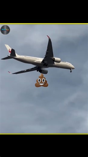 প্লেনের পটি কি নিচে পড়ে যায়? Airplane Poop Mystery #shorts #facts