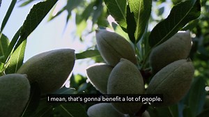 104K views · 262 reactions | #almondsustainability Kernel: Almond...