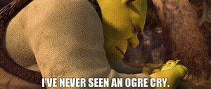 I've never seen an ogre cry.