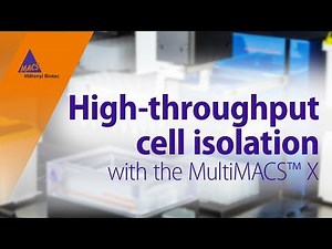 Automation meets cell separation: High-throughput cell isolation with the MultiMACS™ X
