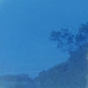 Seagull Concert & Tour History (Updated for 2025) | Concert Archives