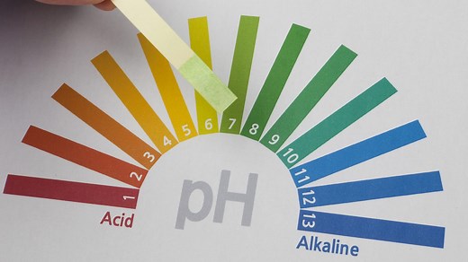 Acids and Alkalis - BBC Bitesize