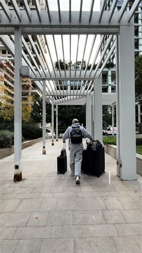 ולוג טיסה ללונדון עם אגמי חזן