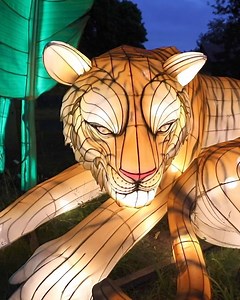 There's still time to check out Zoomagination this summer at the Buffalo Zoo! | The Buffalo Zoo