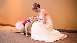 Touching photo of bride and her service dog goes viral