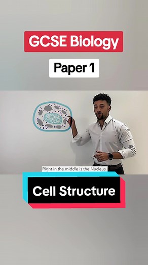 GCSE Biology Paper 1 Cell Structure Revision