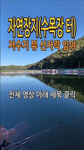 수도권 도로 접한 안성 저수지 뷰 수목장 터, 자연장지 작은 임야 급매 #shorts