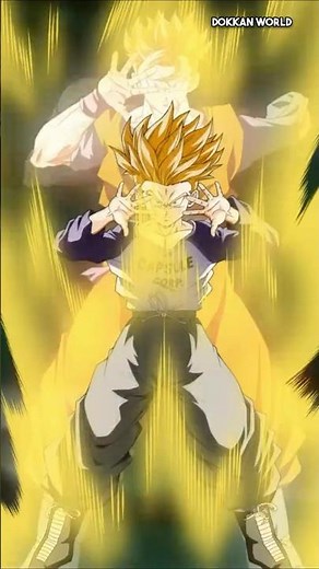 55% LR Future Gohan/Trunks