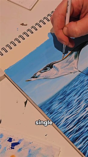 Painting the first Project Fauna art print for my mail club 🥰🌊 During 2026, each month I'll illustrate and paint artworks inspired by a species of shark or ray 🦈 For January's exclusive print we have the Spinetail Devil Ray! Sign up before 20th January to receive it 💌 🔗 in bio #printclub #mailclub #snailmail #fyp #artisttiktok