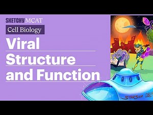 Viral Structure & Function: Capsids, Viral Envelopes, Genetic Material (Full Lesson) | Sketchy MCAT