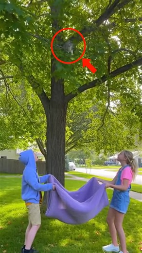 62K views · 819 reactions | ¡Niños heroicos rescatan gatito! ¡Niños heroicos rescatan gatito! Generated using Kling AI . . . (Sólo con fines de entretenimiento. Consulte a profesionales si se presentan orientaciones sobre actividades. Si se muestra alguna marca, no implica ninguna afiliación. Si se inspiran en hechos reales, pueden incluirse adaptaciones creativas. El contenido puede incluir imágenes públicas.) | Amo a los animales | Facebook