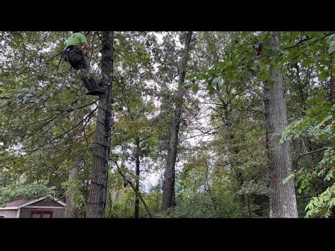 DIY Saddle Hunting UNDER $250