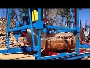 D&L 1224 Swing Blade