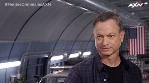 191K views · 224 shares | Gary Sinise nos regala las claves para ser un team líder perfecto. #MentesCriminalesAXN SIN FRONTERAS TODOS LOS LUNES: 9pm COL, 10pm MEX, 23hs ARG | AXN Latinoamérica | Facebook