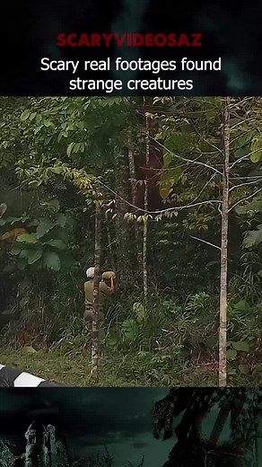 Strange Creatures Caught on Camera - Scary Videos and Sightings