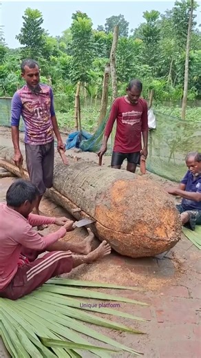 দেখেন তাল গাছ দিয়ে কিভাবে নৌকা বানায়। #palm tree #boat #palm #shortvideo