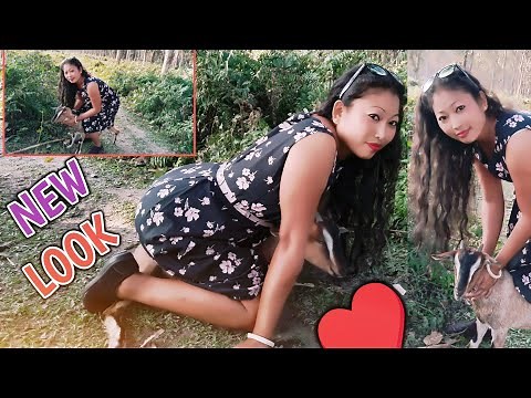 Goat riding village forest girl |goat riding ❤️😍