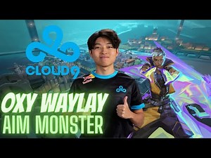 MVP 51% HS 27 Kills!!! C9 OXY Waylay⏱ VOD! ft. penny