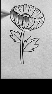 30K views · 310 reactions | How to draw a beautiful flower by pencil sketch #art #pencildrawing #drawing #draw #flowerdrawing | SSR Art's | Facebook