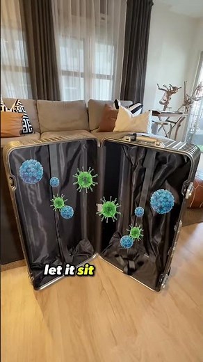 How to Clean and Disinfect Your Luggage After a Trip