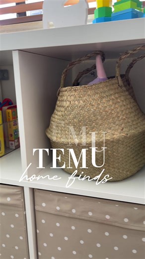 The Temu finds I cannot stop thinking about