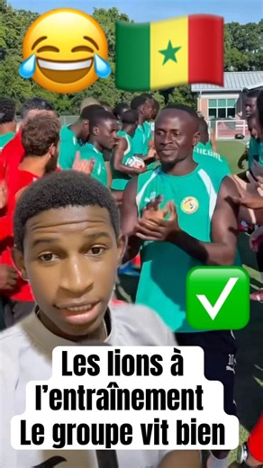 😂🇸🇳The lions in training