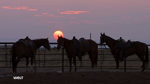 6.3K views · 32 reactions | Welt der Cowboys – Mythos und Realität: Diese faszinierende Reportage zeigt euch amerikanische Rancher, Pferdezüchter und Rodeo-Stars, deren Lebensstil an die alte Welt des Wilden Westens erinnert. | WELT | Facebook