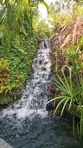 52 reactions · 57 comments | #nature #naturelover #relaxing #stream | Stay On The Bright Side | Facebook