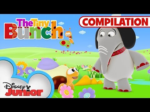 Adventures with the Tiny Bunch | Kids Songs & Nursery Rhymes | ‪@disneyjr‬