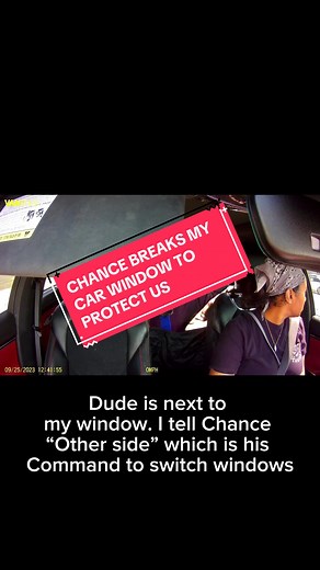 Cane Corso Protection: Chance Breaks Car Window to Protect Us