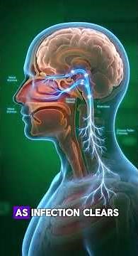 What's Really Happening Inside Your Nose When You're Sick #HealthAwareness
