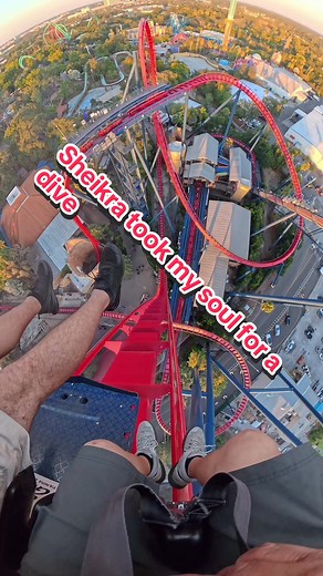 Sheikra is that one roller coaster that makes you question everything! Specifically this moment, right here. #sheikra #buschgardens #buschgardenstampabay #rollercoaster #divecoaster @Busch Gardens Tampa