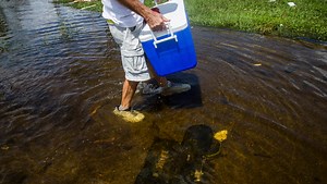 Hurricane Irma: Insurance claims, coverage come into focus as clean-up begins