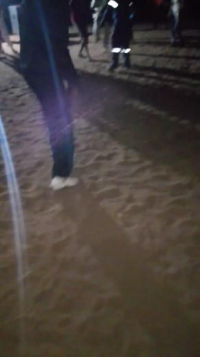 Reff count (@refilwemoshondo81)’s videos with original sound - Reff count