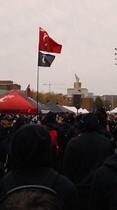 BEARCATS ARE HOME | Cincinnati Bearcats Football