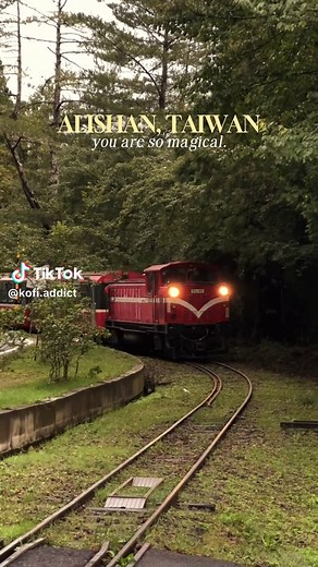 Discover Alishan National Recreation Area's Magic