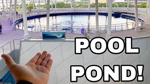 World’s Largest Outdoor Saltwater Pool Pond Aquarium