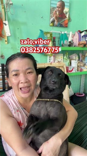 Bấm vô cái hình kế sdt e để mua hạt ạ hoăc nt zalo viber cho e #yeudongvat #dongvat