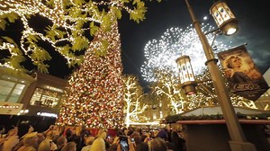 2K reactions · 310 shares | Join us for our Annual Tree Lighting celebration on Sunday, November 12 at 7:30pm as we kick off the holiday season. | The Grove | Facebook