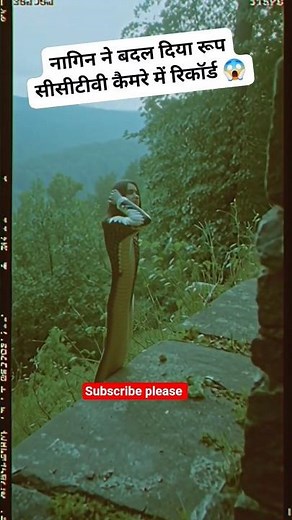 Sakhi Re Bar Paa Gayini | KHESARI LALYADAV | KAJAL RAGHWANI | BHOJPURISONG#Video