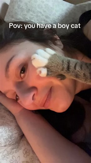 Best cuddle bug ever 🥰🥹 #cat #catsoftiktok #catmom #fyp #soulmates