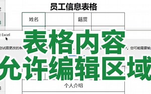 Excel表格允许编辑区域
