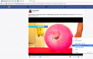How to Download Facebook Videos on Your Computer