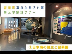 留萌市海のふるさと館展示解説ツアー①【日本海の誕生と留萌編】