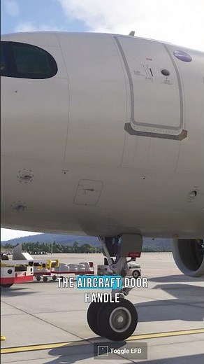 Walkaround Mode in #MicrosoftFlightSimulator2024