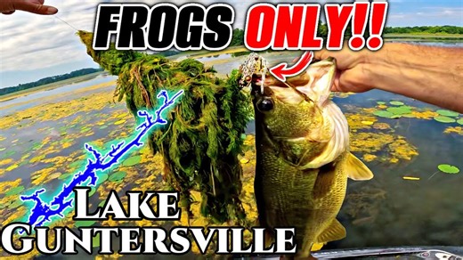 Fishing topwater frogs only for an entire day adventure
