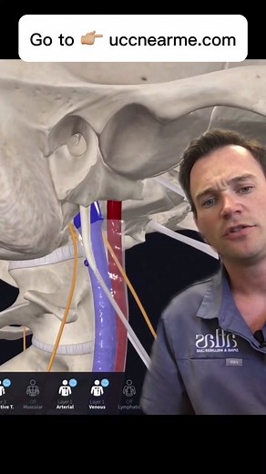 Do you suffer from head, facial, mandibular or throat pain? Do you have Eagle’s syndrome? #neckpain #facialpain #throatpain #eaglessyndrome #uppercervicalchiropractic #nucca #uccnearme #CapCut