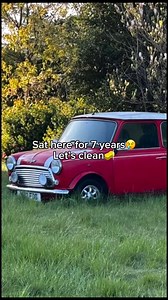 Must be Satisfying 🧼🪣 Owner: @ClassicMiniCo #classicmini #mini #detail #clean #minicooper #classiccar #cars #cleaning #fblifestyle #carlove | Mini Cooper Club